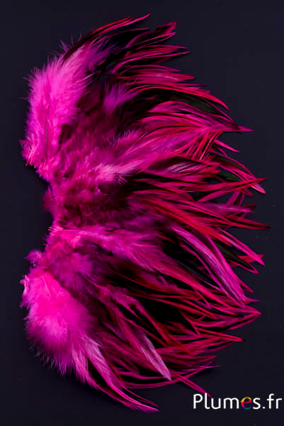 Coq flammé - 10-15 cm - fuchsia